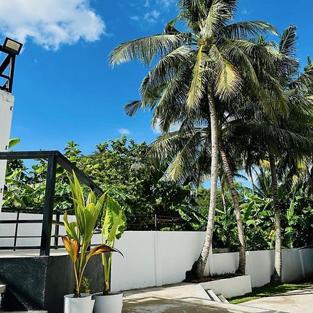 Pig Dive Hostel Moalboal Exterior photo