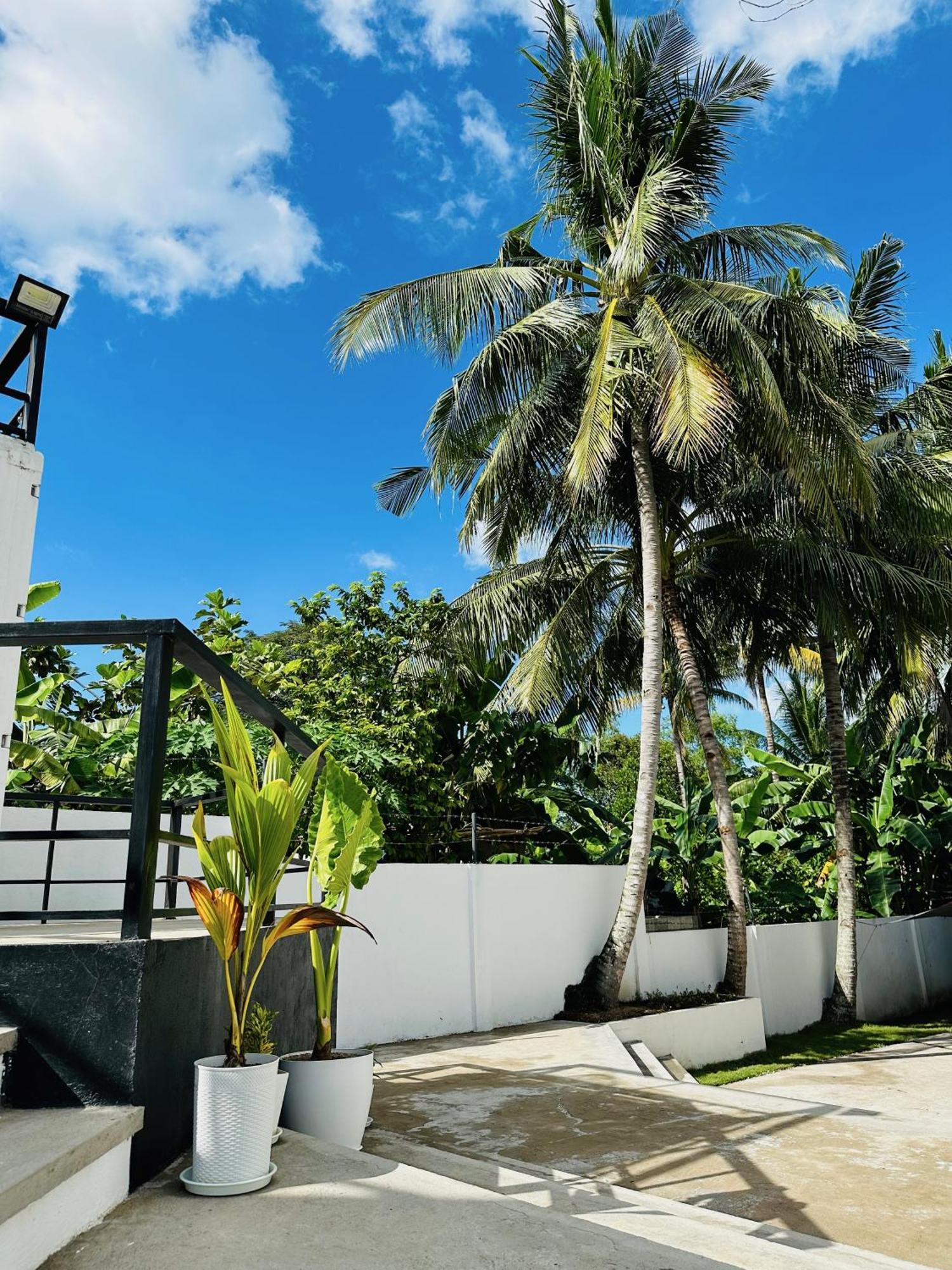 Pig Dive Hostel Moalboal Exterior photo